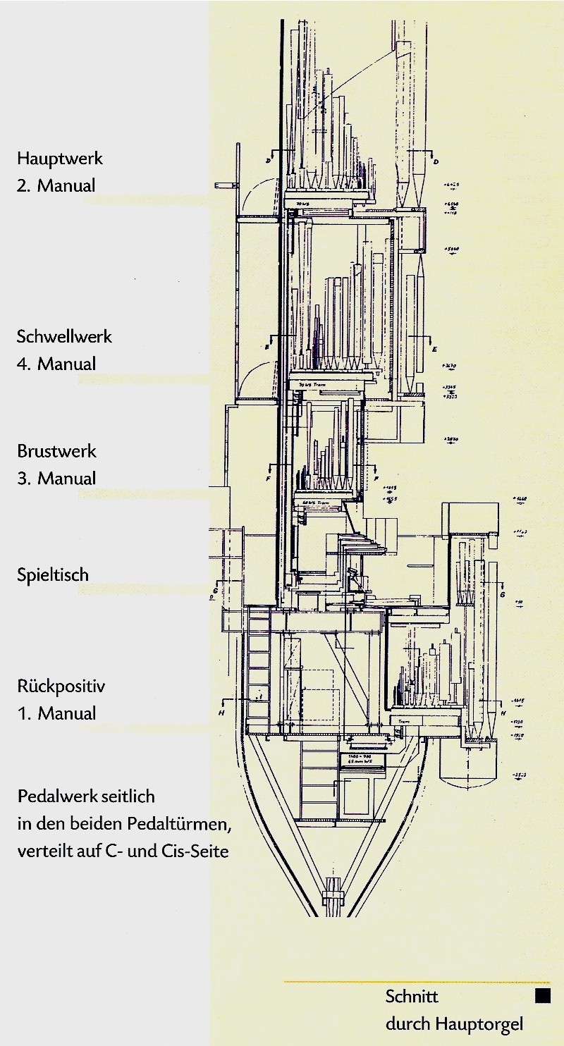 Die Schwalbennest-Orgel im Schnitt